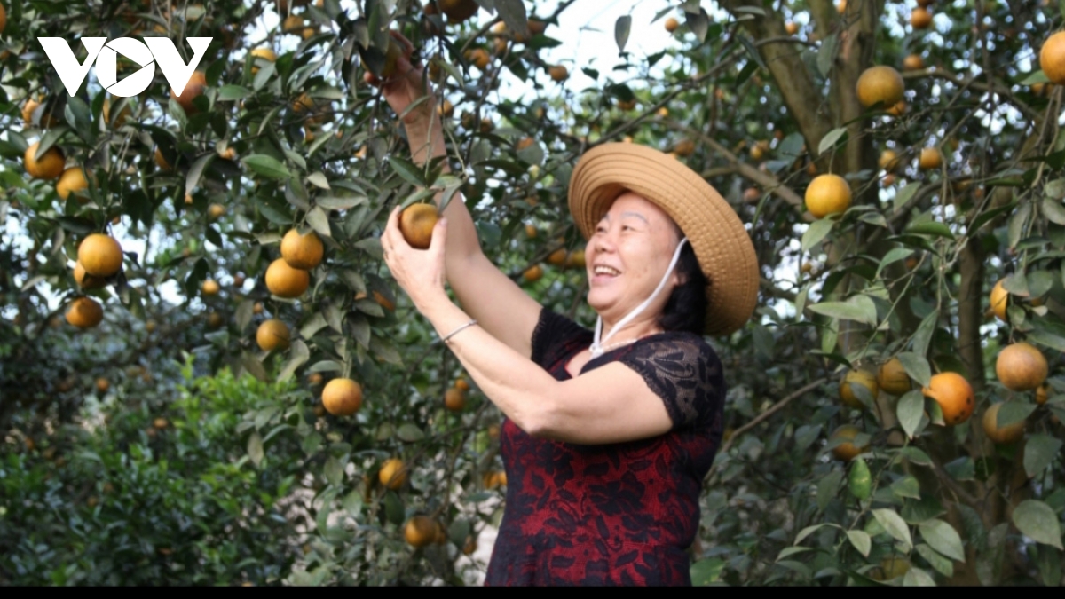 Green tourism – an emerging trend in post-COVID-19 landscape